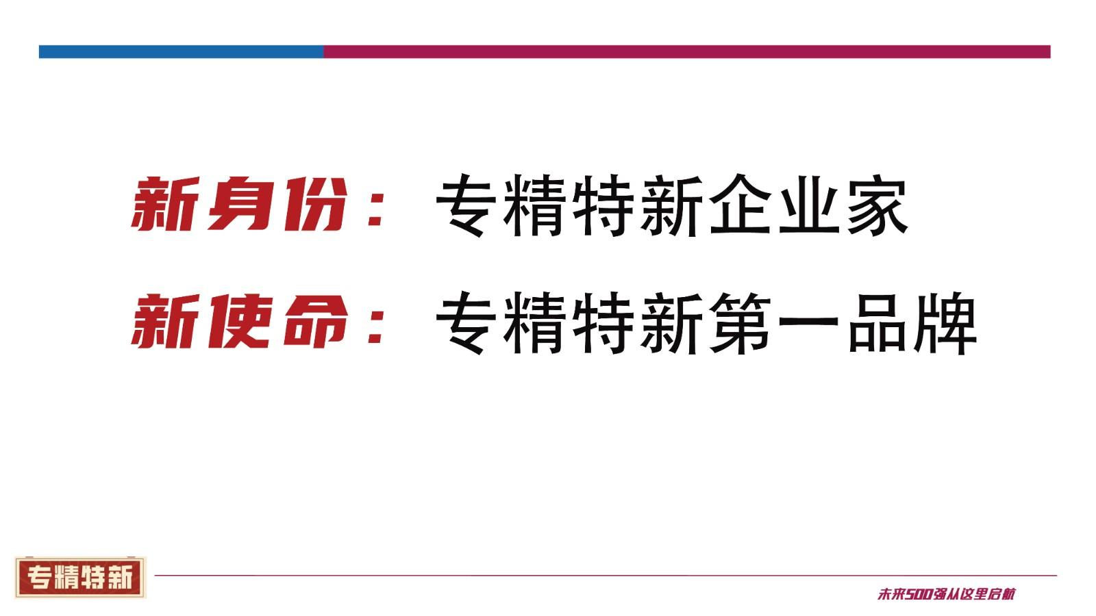 万力：专精特新 创新型中小企业转型升级新未来 