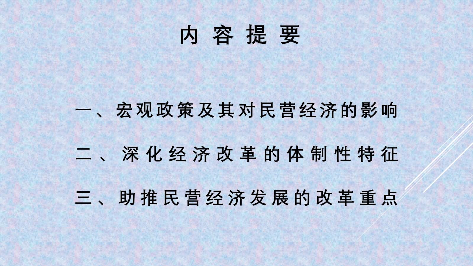 孔泾源：继续以深化改革助推民营经济发展