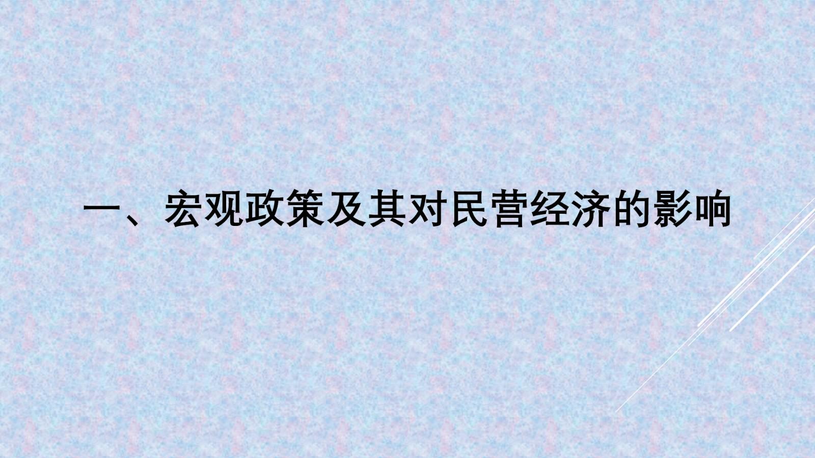 孔泾源：继续以深化改革助推民营经济发展